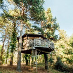 Cabanes als arbres | Millor lloguer Glamping Catalunya