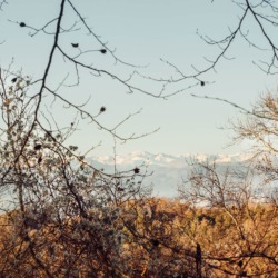 Cabanes als arbres | Millor lloguer Glamping Catalunya