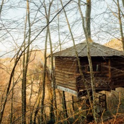 Cabanes als arbres | Millor lloguer Glamping Catalunya