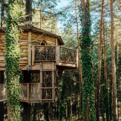 Cabanes als arbres | Millor lloguer Glamping Catalunya