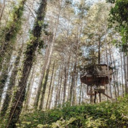 Cabanes als arbres | Millor lloguer Glamping Catalunya