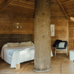 Cabanes als arbres | Millor lloguer Glamping Catalunya