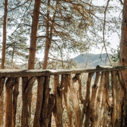 Cabanes als arbres | Millor lloguer Glamping Catalunya