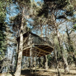 Cabanes als arbres | Millor lloguer Glamping Catalunya