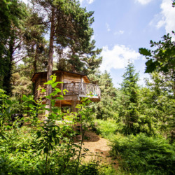 Cabanes als arbres | Millor lloguer Glamping Catalunya