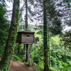 Cabanes als arbres | Millor lloguer Glamping Catalunya