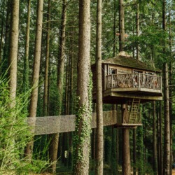 Cabanes als arbres | Millor lloguer Glamping Catalunya