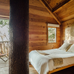 Cabanes als arbres | Millor lloguer Glamping Catalunya