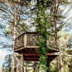 Cabanes als arbres | Millor lloguer Glamping Catalunya