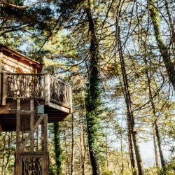 Cabanes als arbres | Millor lloguer Glamping Catalunya