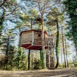 Cabanes als arbres | Millor lloguer Glamping Catalunya