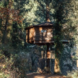 Cabanes als arbres | Millor lloguer Glamping Catalunya