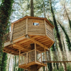 Cabanes als arbres | Millor lloguer Glamping Catalunya