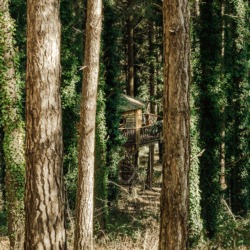 Cabanes als arbres | Millor lloguer Glamping Catalunya