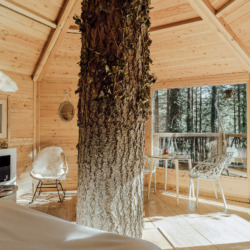 Cabanes als arbres | Millor lloguer Glamping Catalunya